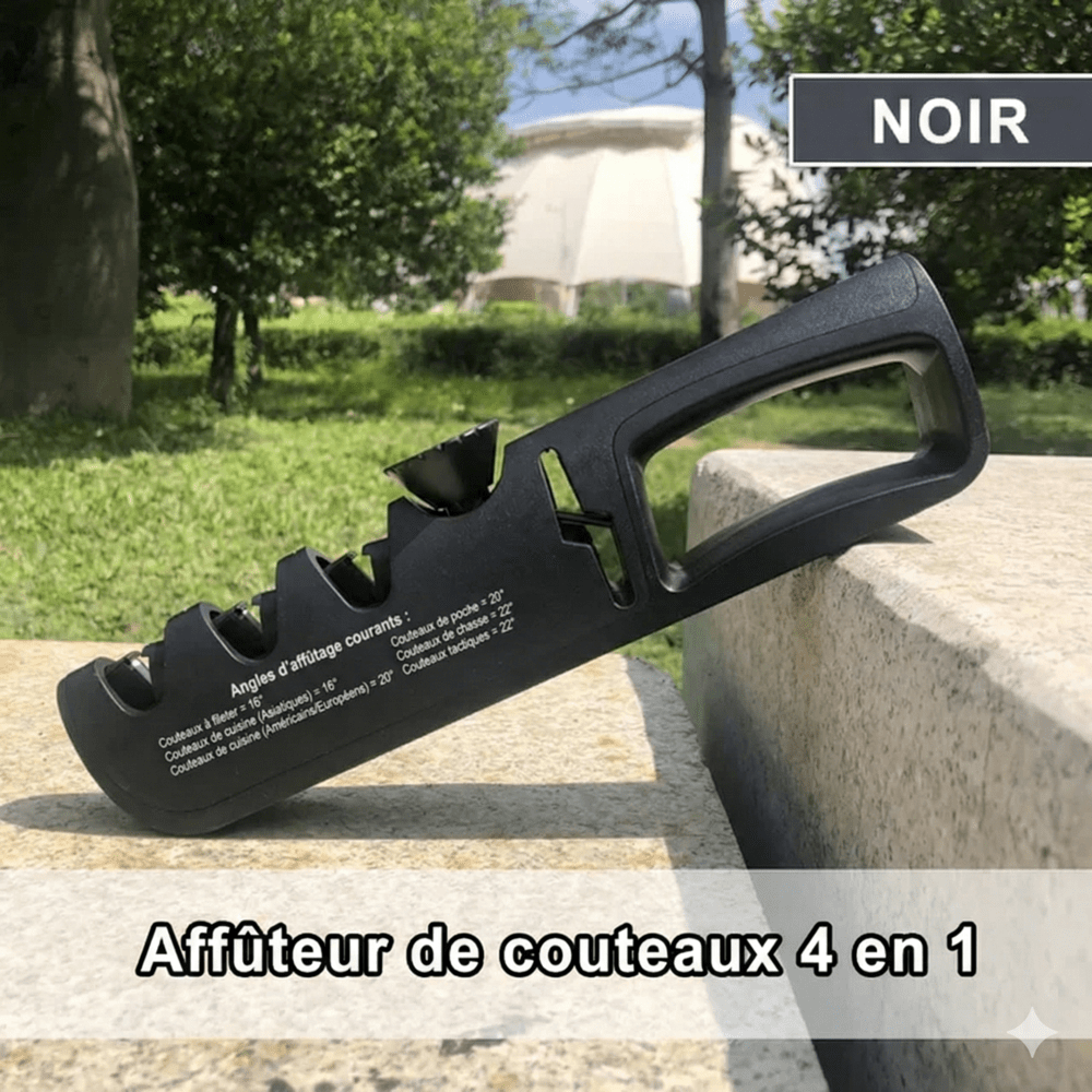 Aiguiseur à Couteau Professionnel - Noir