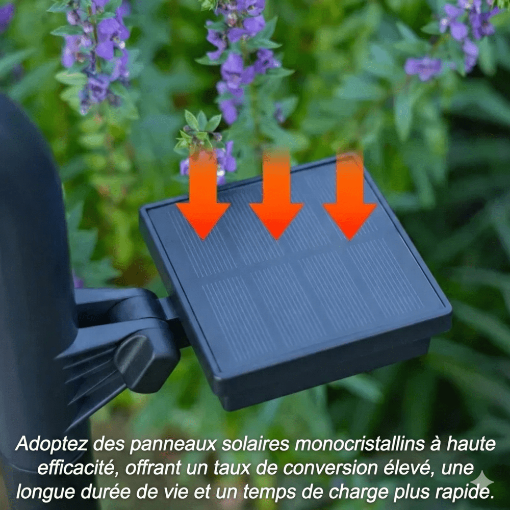 Balise Éclairage LED Allée Solaire -