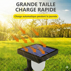 Balise Lumineuse LED Solaire Puissante avec Détecteur -