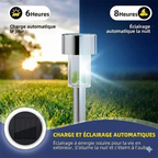 Balise Solaire LED Piquet - A1 - Lumière blanc froid