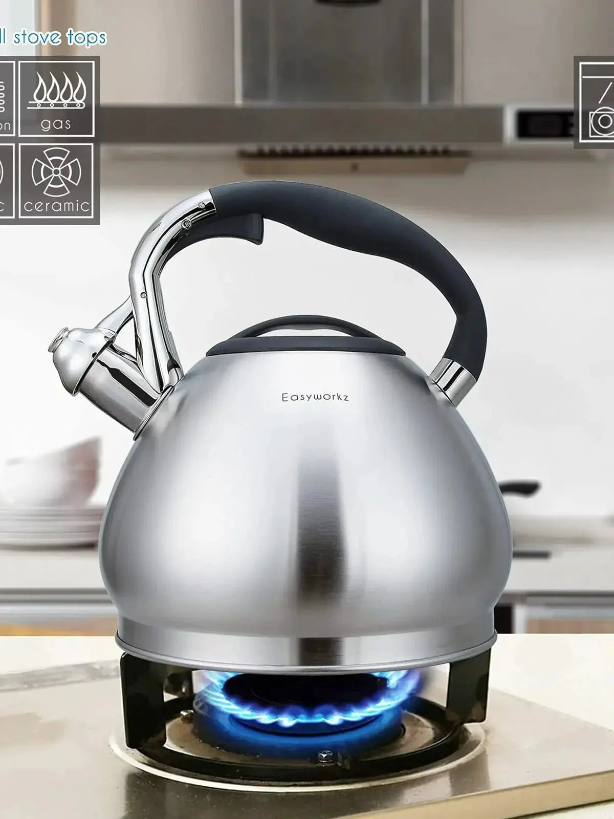 Bouilloire Sifflante en Inox - 2.3L