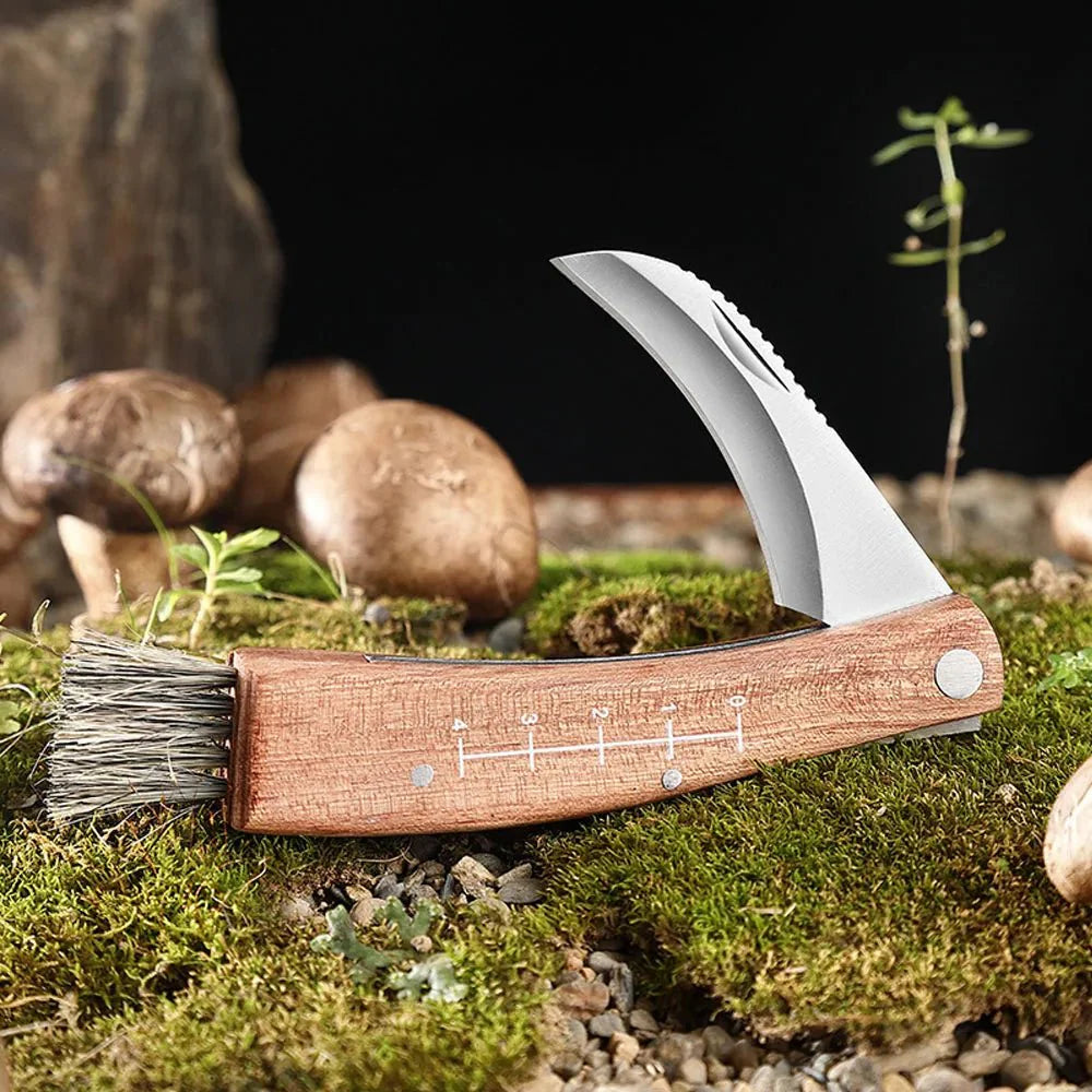 Couteau Cueillette Champignons -