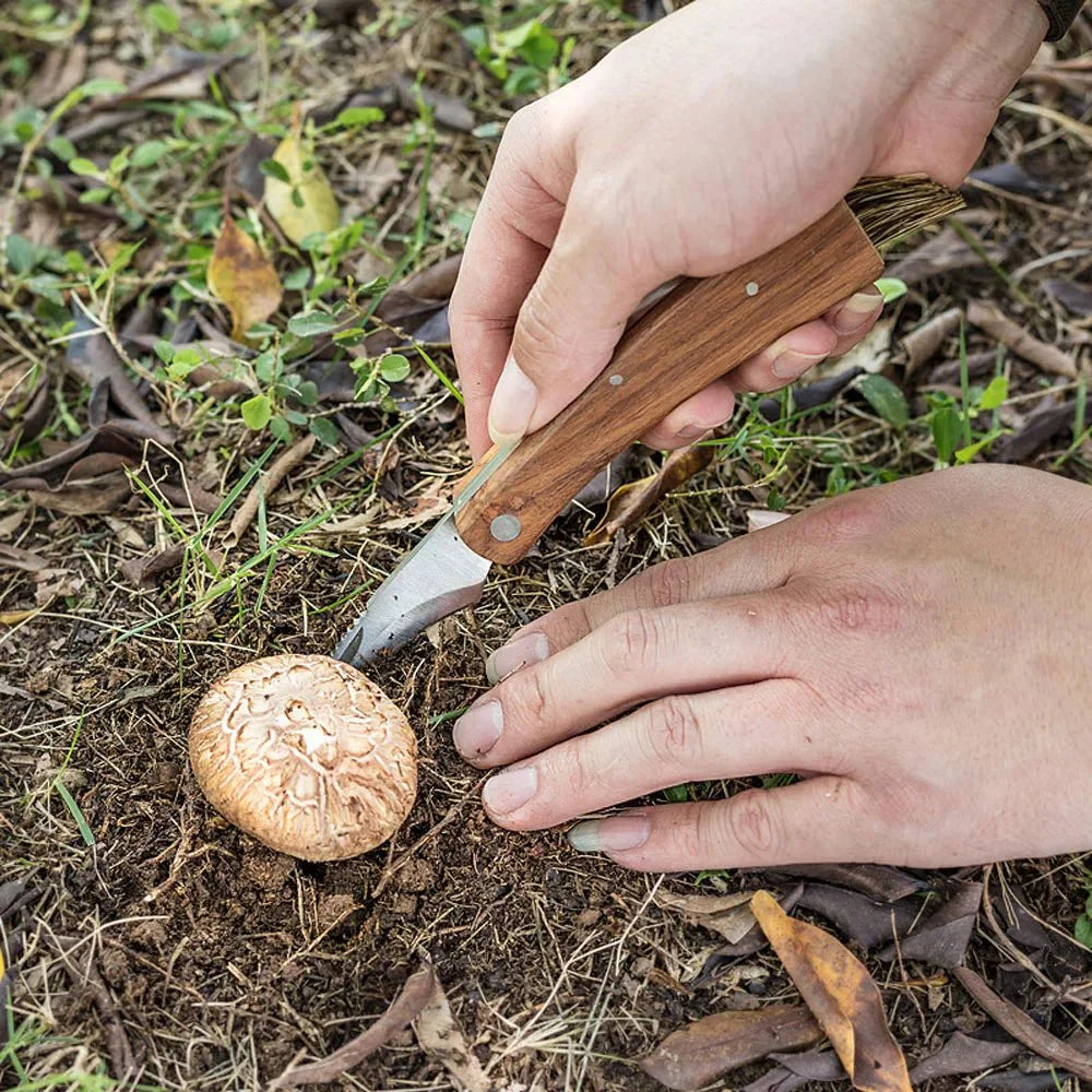Couteau Cueillette Champignons -