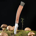 Couteau Cueillette Champignons -
