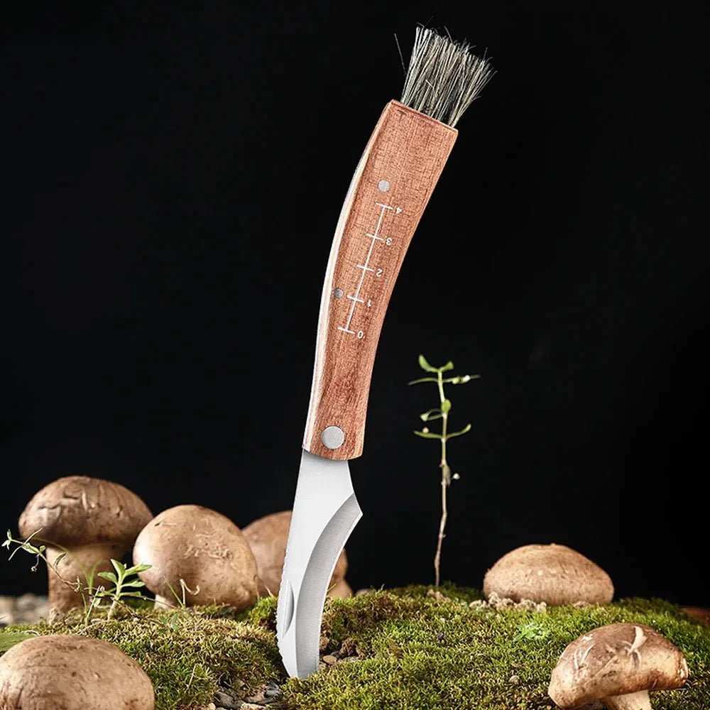 Couteau Cueillette Champignons -