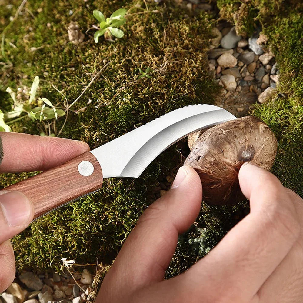 Couteau Cueillette Champignons -