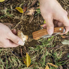 Couteau Cueillette Champignons -