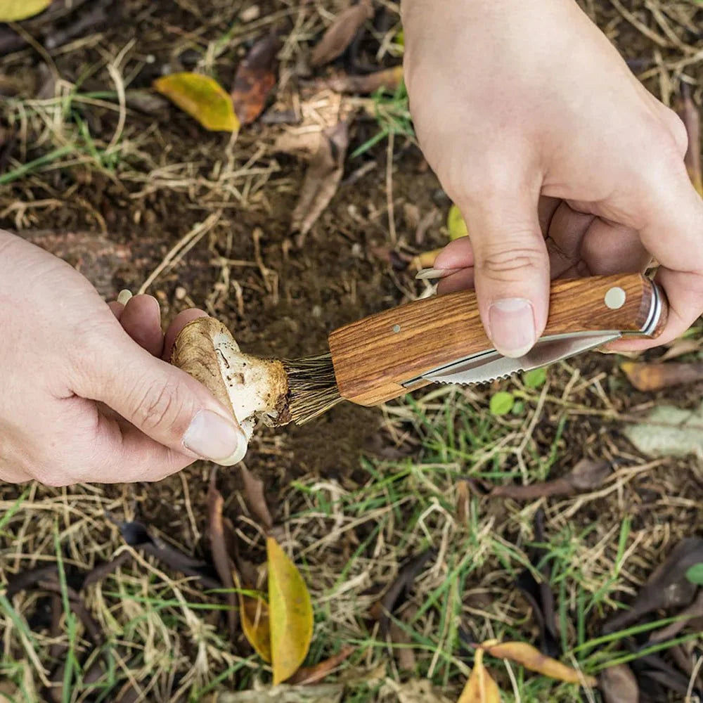 Couteau Cueillette Champignons -