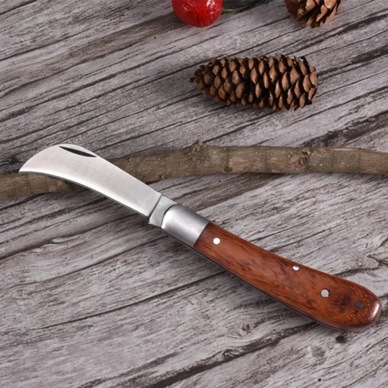 Couteau pour Cueillir les Champignons -
