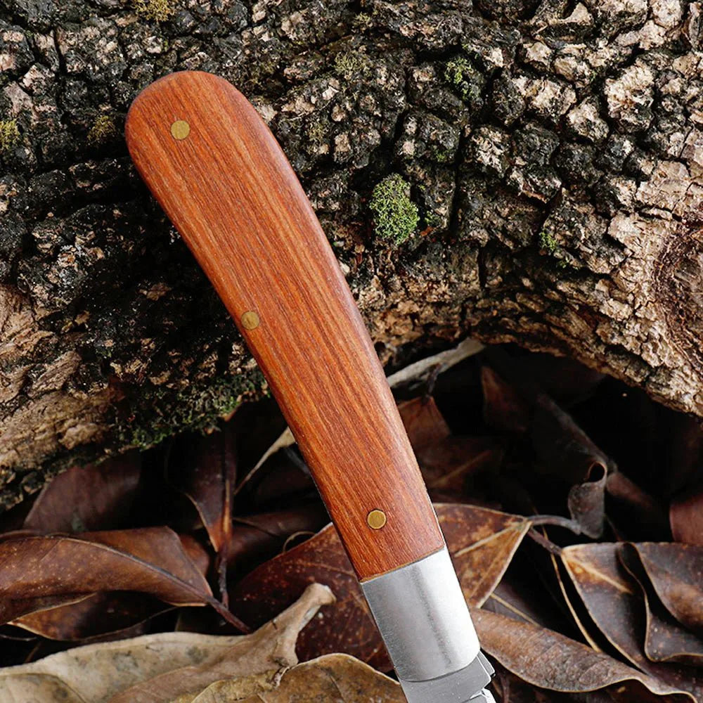 Couteau pour Ramasser les Champignons - A