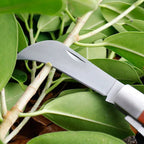 Couteau pour Ramasser les Champignons - A
