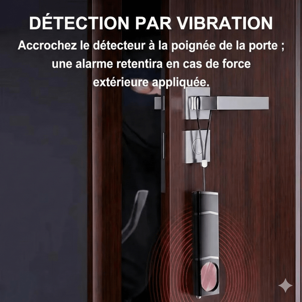 Detecteur de Camera Micro et Traceur GPS -