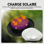 Lampe Solaire Galet - Blanc