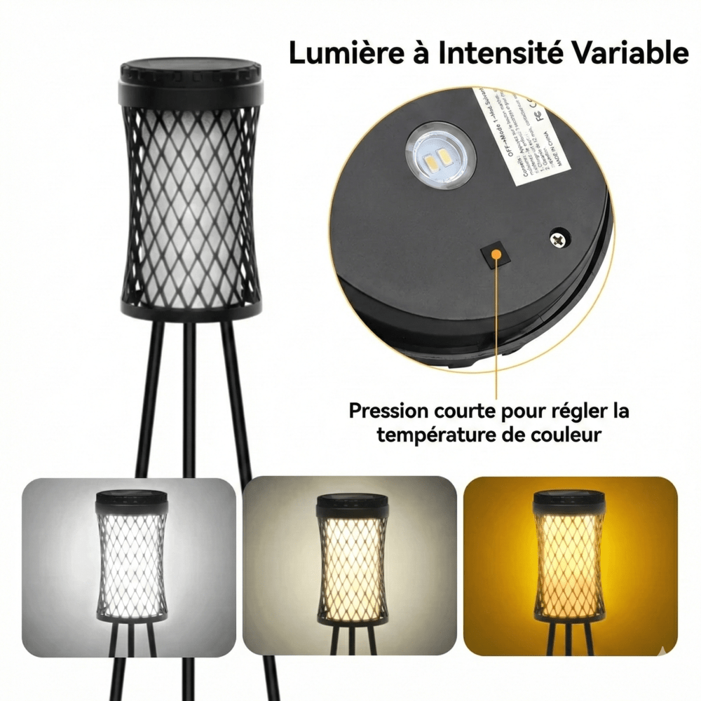 Lampe Solaire sur Pied avec support plante -