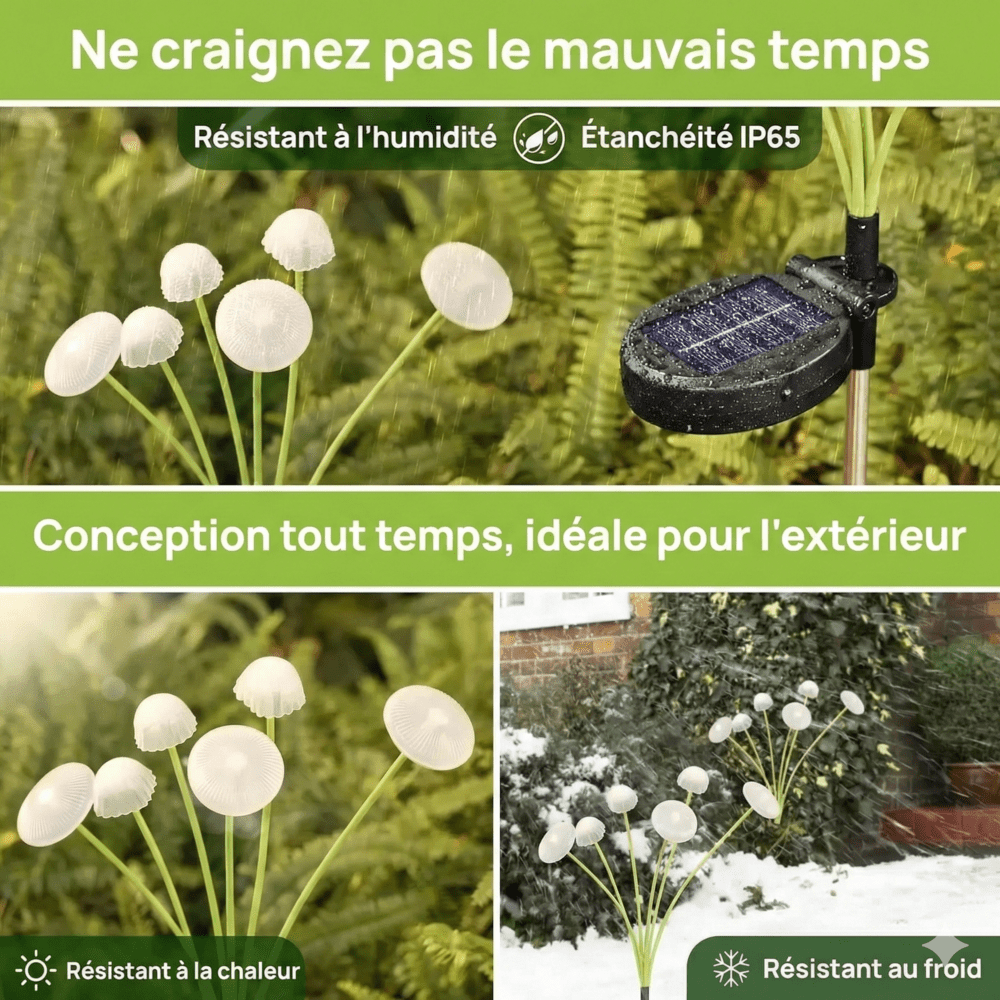 Lampes Méduse Solaire Jardin - B