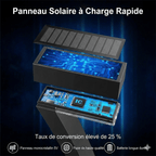 Lot de 4 Bornes Solaires Extérieur Allée de Jardin -