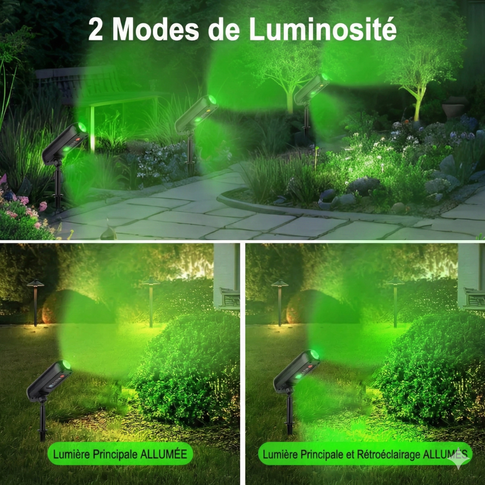Lot de 4 Projecteur LED Solaire de Jardin - Verte