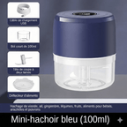 Mini Hachoir Électrique Pas Cher - Bleu