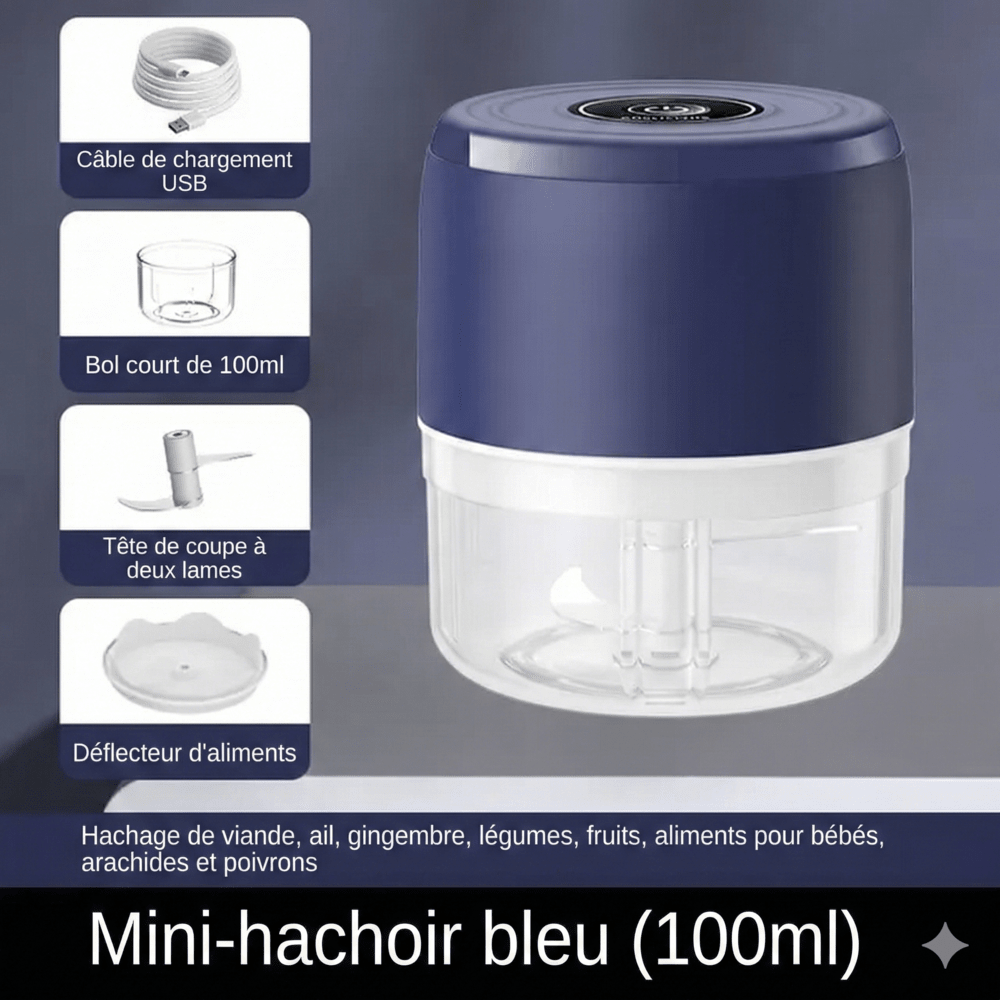 Mini Hachoir Électrique Pas Cher - Bleu