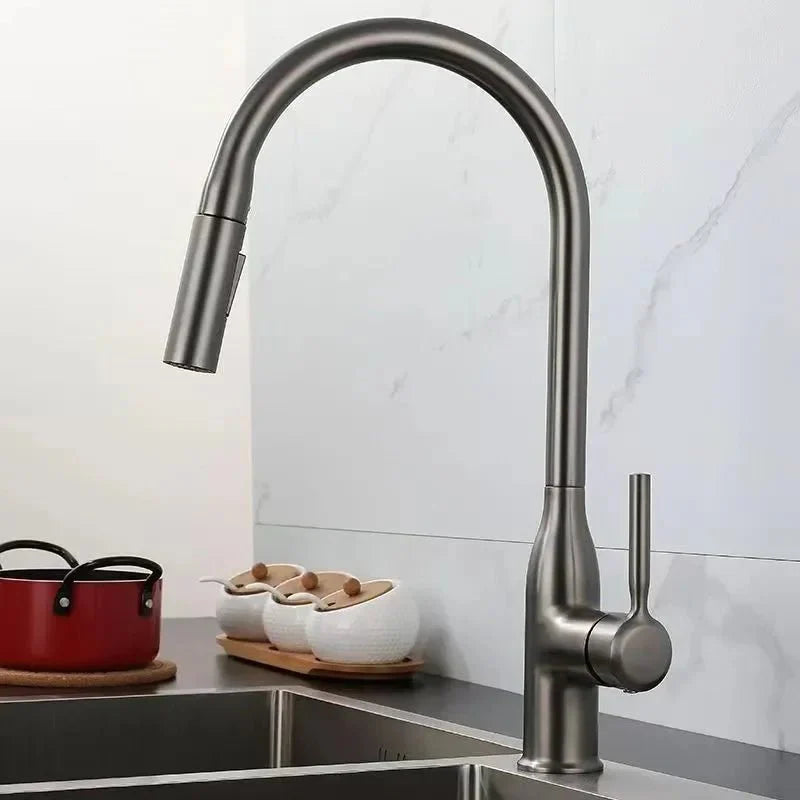 Mitigeur de Cuisine en Inox avec Douchette Extractible - A
