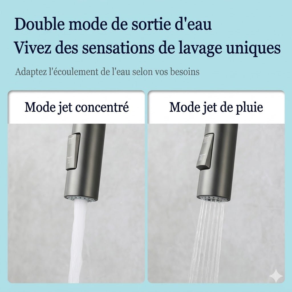 Mitigeur de Cuisine en Inox avec Douchette Extractible - B