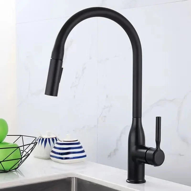 Mitigeur de Cuisine en Inox avec Douchette Extractible - C