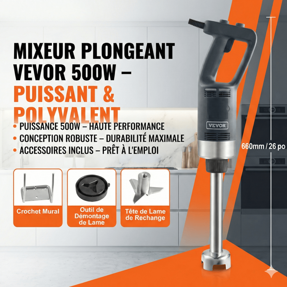 Mixeur Plongeant Professionnel - 660 mm
