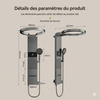Panneau de Douche Gris Design avec Pommeau en Anneau -
