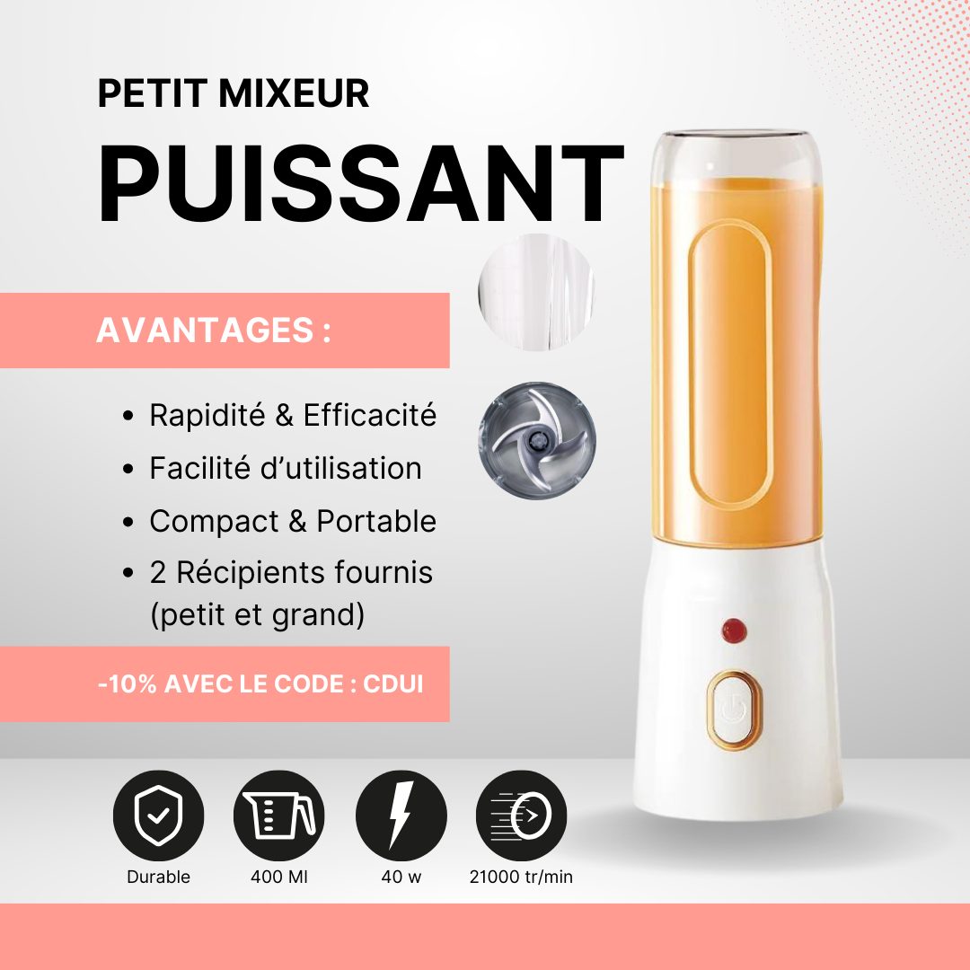 Petit Mixeur Puissant -