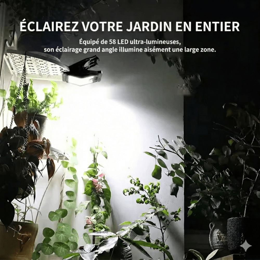 Pince Lumière LED Solaire -