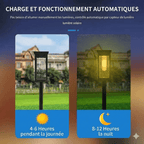Piquet Solaire Style Filament -