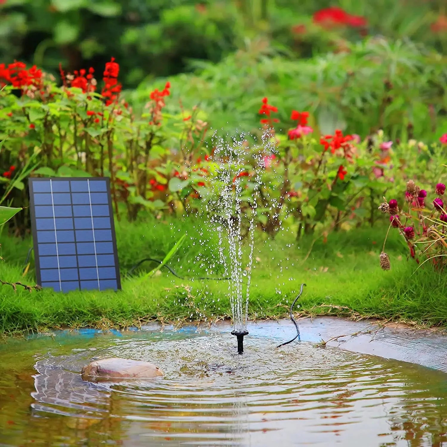 Pompe de Fontaine Solaire Extérieure avec Panneau Solaire - 1.5W