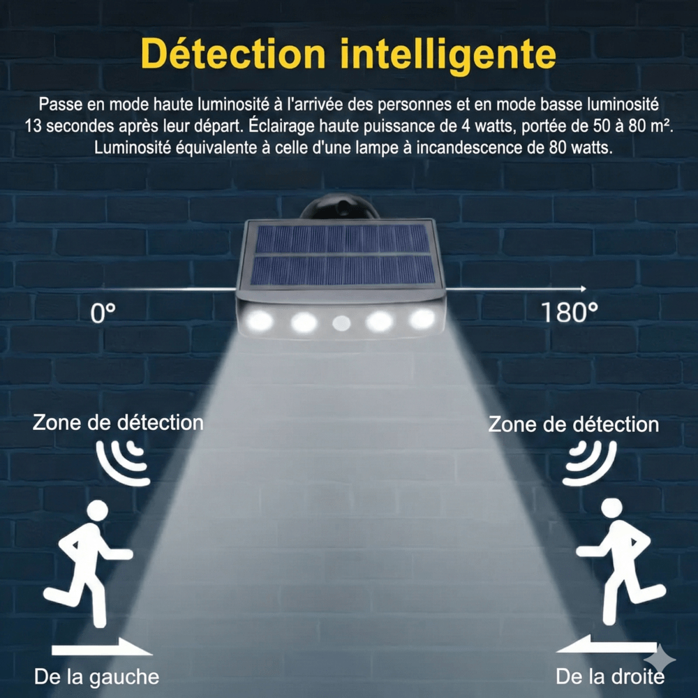 Projecteur LED Solaire Détecteur de Mouvement Noir - Blanc froid