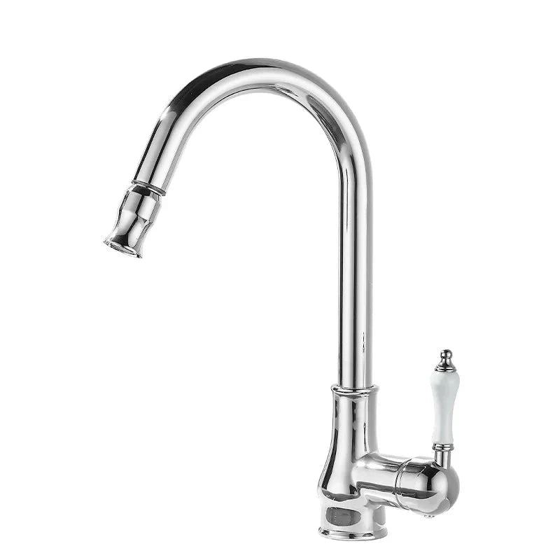 Robinet Cuisine avec Douchette Style Rétro - E