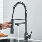 Robinet Cuisine Industriel avec Douchette et Ressort Flexible - A