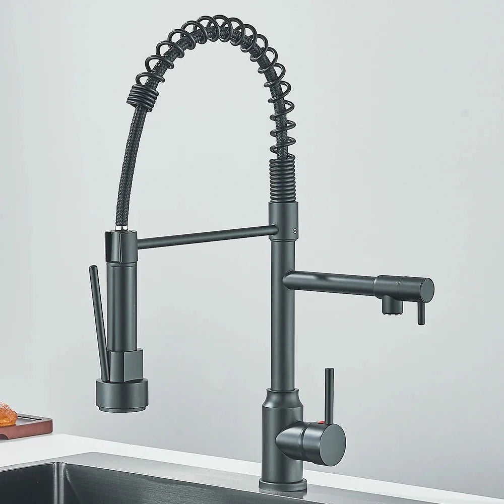 Robinet Cuisine Industriel avec Douchette et Ressort Flexible - C