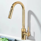 Robinet de Cuisine avec Petite Douchette Extractible - A