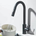 Robinet de Cuisine avec Petite Douchette Extractible - A
