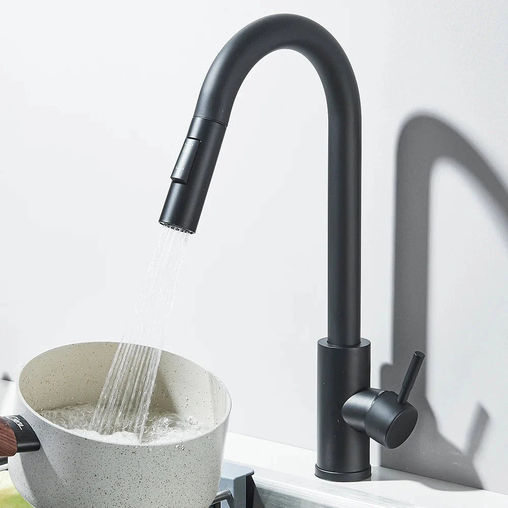 Robinet de Cuisine avec Petite Douchette Extractible - A