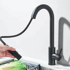Robinet de Cuisine avec Petite Douchette Extractible - A