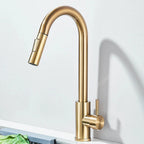 Robinet de Cuisine avec Petite Douchette Extractible - C