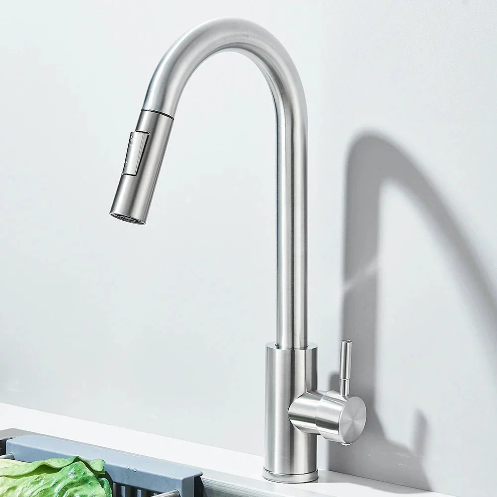 Robinet de Cuisine avec Petite Douchette Extractible - E