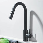 Robinet de Cuisine avec Petite Douchette Extractible - F