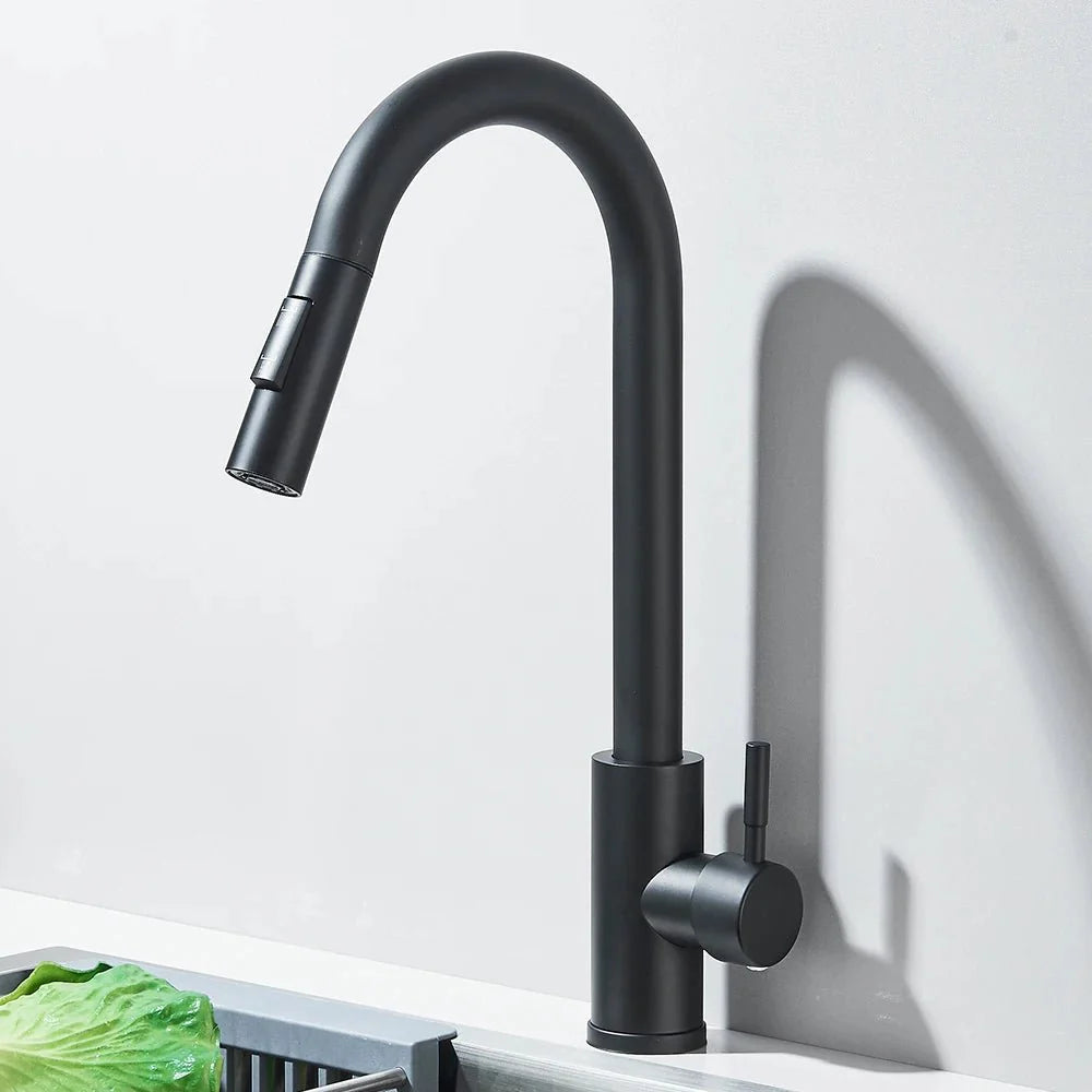 Robinet de Cuisine avec Petite Douchette Extractible - F