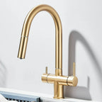 Robinet de Cuisine Filtrant - D