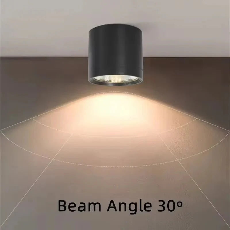 Spot Extérieur en Saillie LED Noir IP65 - Blanc froid