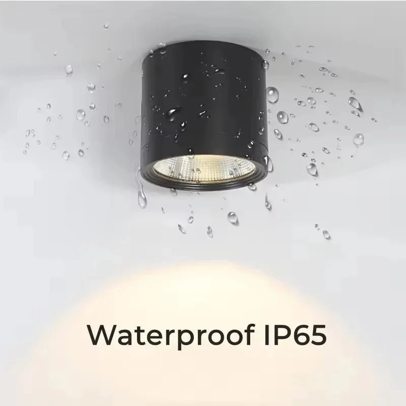 Spot Extérieur en Saillie LED Noir IP65 - Blanc froid