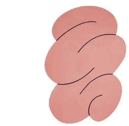 Tapis Minimaliste Forme Organique - S