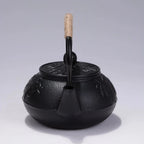 Théière Japonaise en Fonte Noire 600ml - A