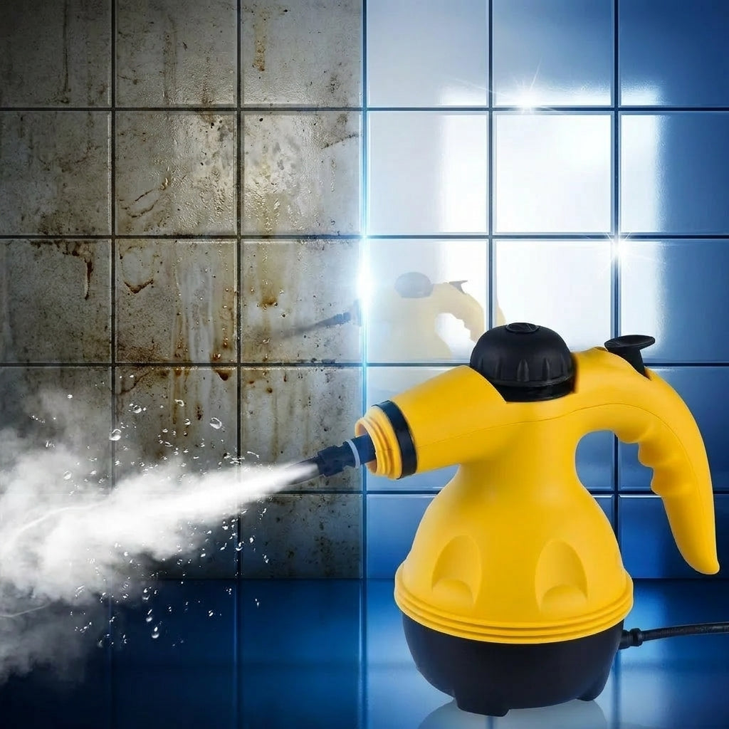 Petit Nettoyeur Vapeur